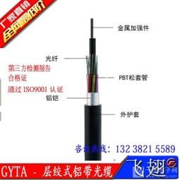 現(xiàn)貨GYTA 12B1層絞式鋁帶光纜 廠家直銷(xiāo)助力光纖銷(xiāo)售新突破